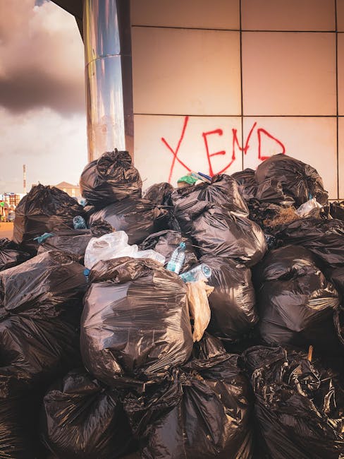 A sanitation worker dressed in a high-visibility orange vest and blue uniform is seen emptying a blue wheeled bin into a white industrial waste collection truck parked on a narrow street in an urban r